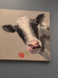 Myrtle cow